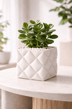 Кашпа Inflated Soft Cloth - интериорна снимка